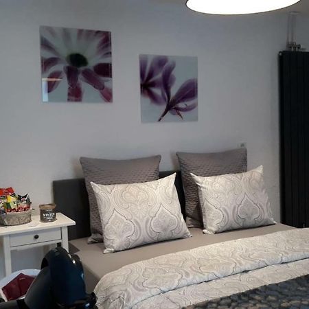 Moderm Basement Apartment Ramstein-Miesenbach Δωμάτιο φωτογραφία